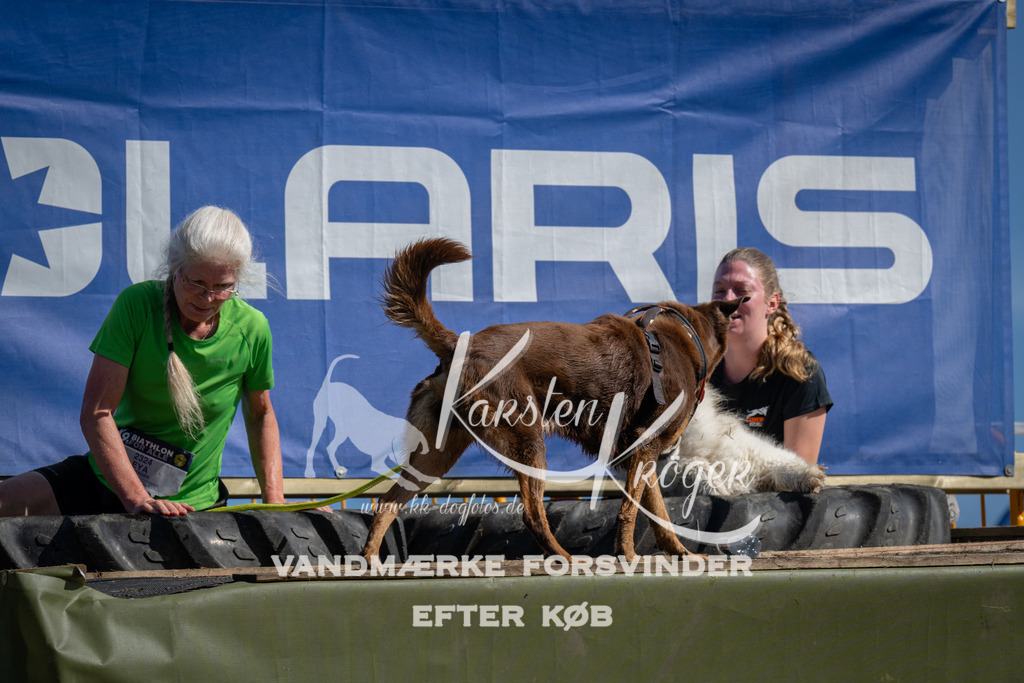 1055_ZZ99574 | kk-dogfotos