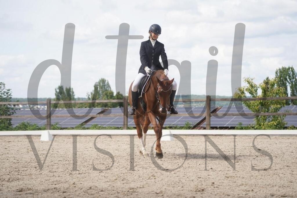 tgbhsamstag (1031) | d.tail Visions - Shop - Realisiert mit Pictrs.com