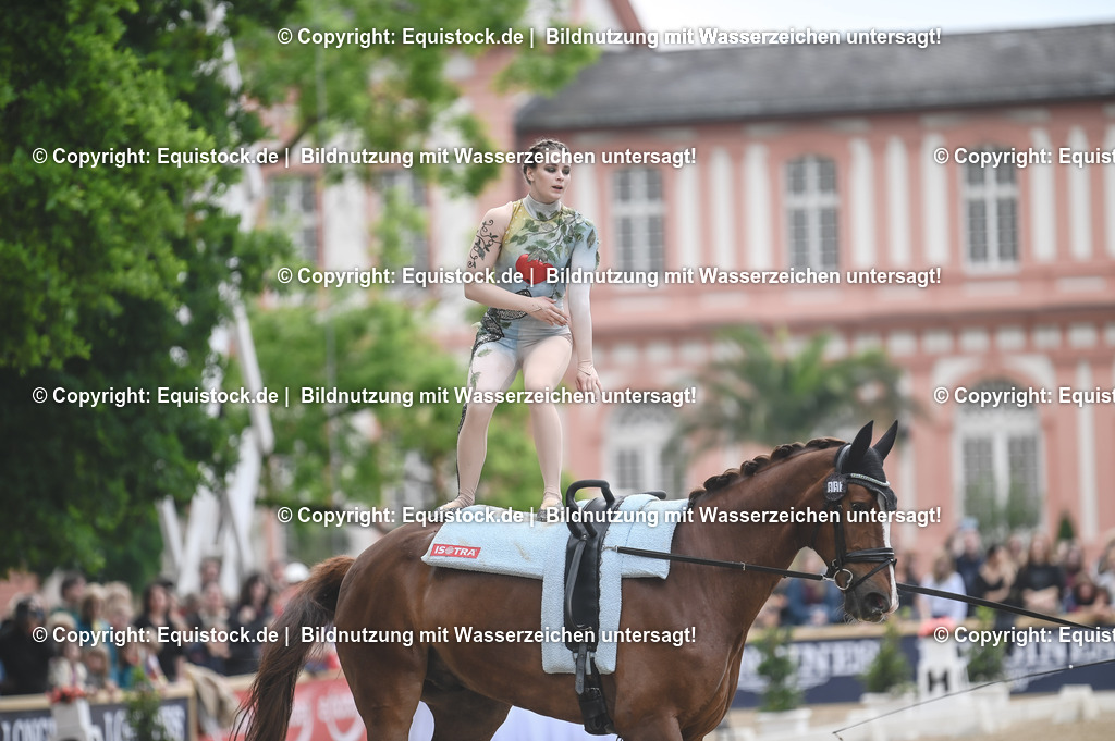 20240519_Voltige_0314 | Foto: Thomas Hartig