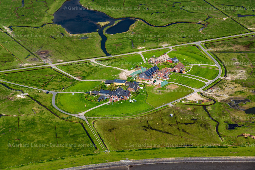 3801903 | Bingehof auf Hallig Hooge, Nationalpark Schleswig-Holsteinisches Wattenmeer