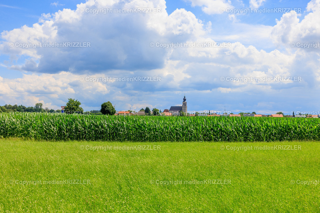 _J3A8096 | medienkrizzler - Realisiert mit Pictrs.com