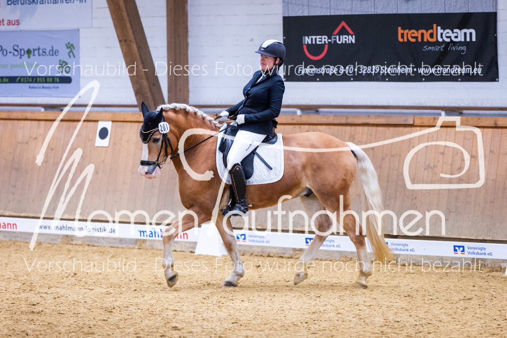 Sth-A-Dre-2St-050 | MomenTaufnahmen Pferdesportfotos