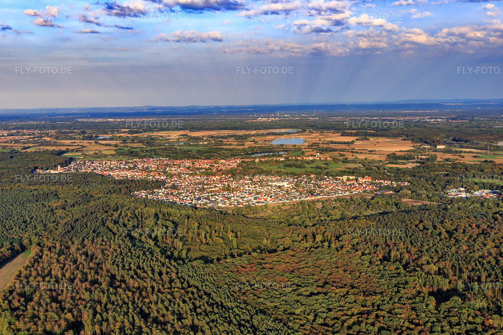 Luftbild: Ortsansicht jenseits des Bienwalds aus Westen in Jockgrim im Bundesland Rheinland-Pfalz in Deutschland. Foto: IMG_111856.jpg vom 16.09.2018 durch Werner Riehm/FLY-FOTO.de