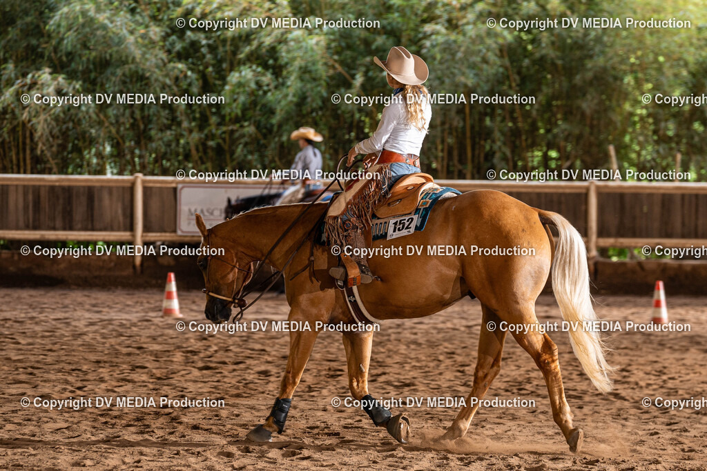 Erbach Tag 1-1002 | dv-media-shop - Realisiert mit Pictrs.com