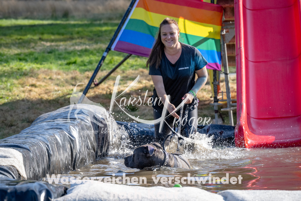 1636_ZZ90263 | kk-dogfotos