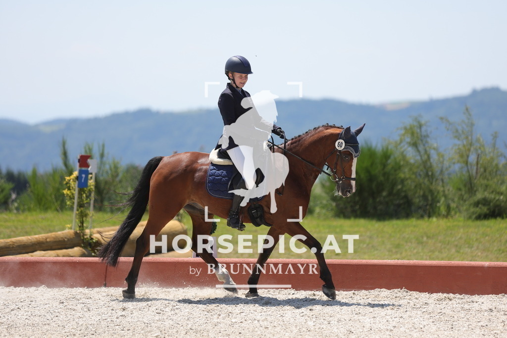 0P6A6329 | Willkommen bei Brunnmayr - Design & Fotografie – Ihrem Spezialisten für Reitturniere und Pferdeveranstaltungen in Oberösterreich, Salzburg und Bayern! Seit über 17 Jahren sind wir leidenschaftlich dabei.