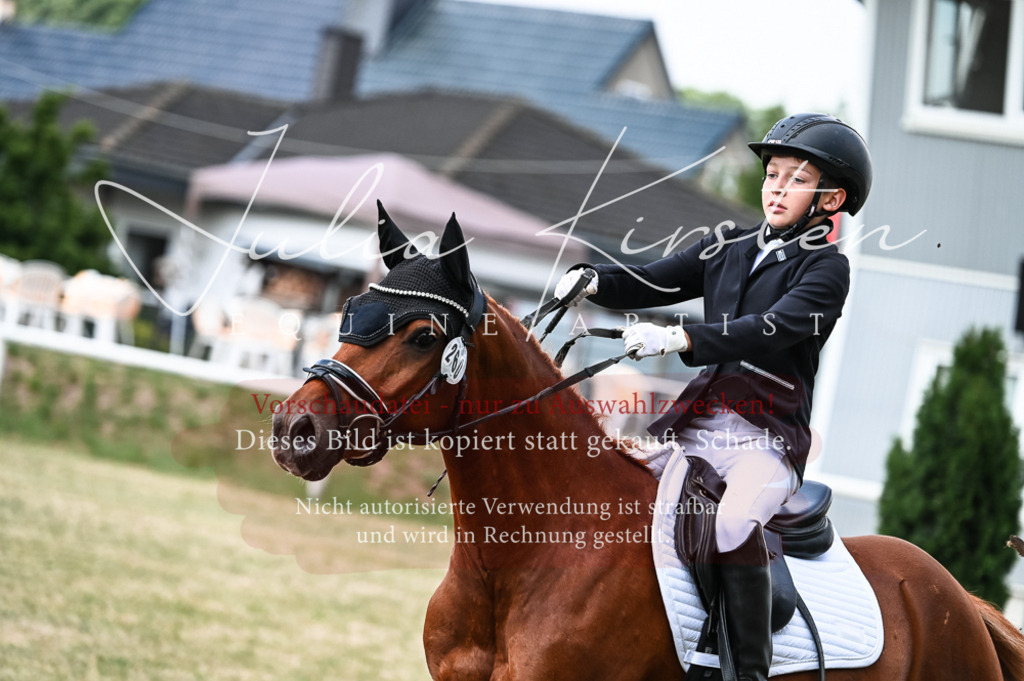 DSC_9073 | Pferde- und Turnierfotografie in Westsachsen. Pferdeportraits, Auftragszeichnungen und intuitive Kunst.