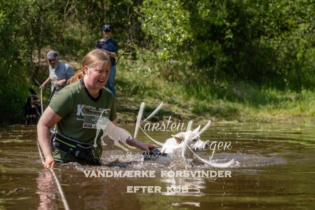 1512DKK992510 | kk-dogfotos