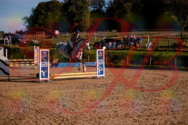 2026_10_03_Siefer-Hof_171433_Z81_12008339 | Professionelle Reitsport-, Turnier- und Eventfotografie von Robert Broda. Galerien mit ausgewählten und bearbeiteten Bildern direkt online ansehen und bestellen.