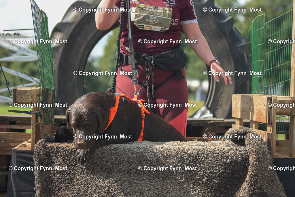 DSC_0789-2 | Hallo und herzlich Willkommen auf meiner Shop-Seite Fynn Most.

Ich wünsche Dir viel Spaß beim stöbern durch die Bilder, wenn Du Fragen hast oder Bilder vermisst, kannst du mir gerne eine Nachricht schreiben. - Realisiert mit Pictrs.com