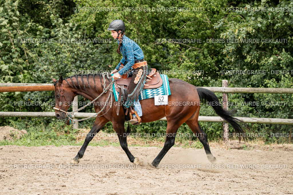 DSC01506 | Pferdegrafie