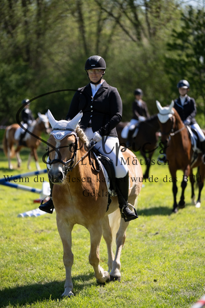 A7V01302 | Pferdefotograf