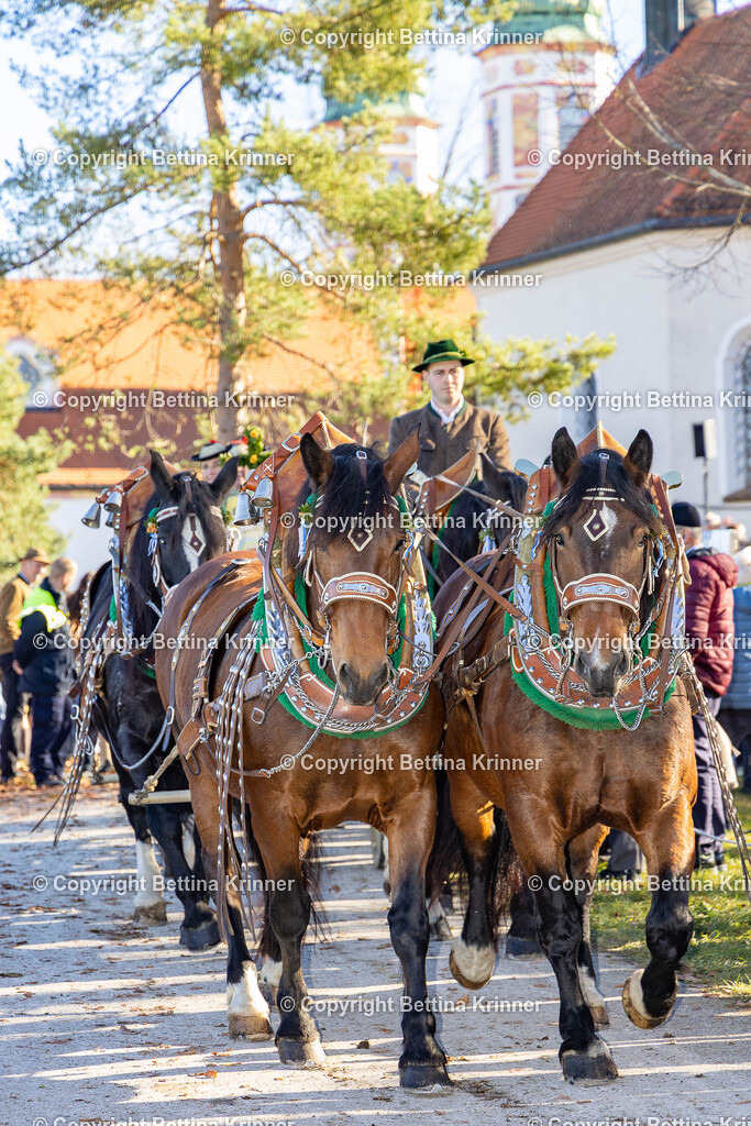 LBT25-1043 | foto-bettina-krinner - Realisiert mit Pictrs.com
