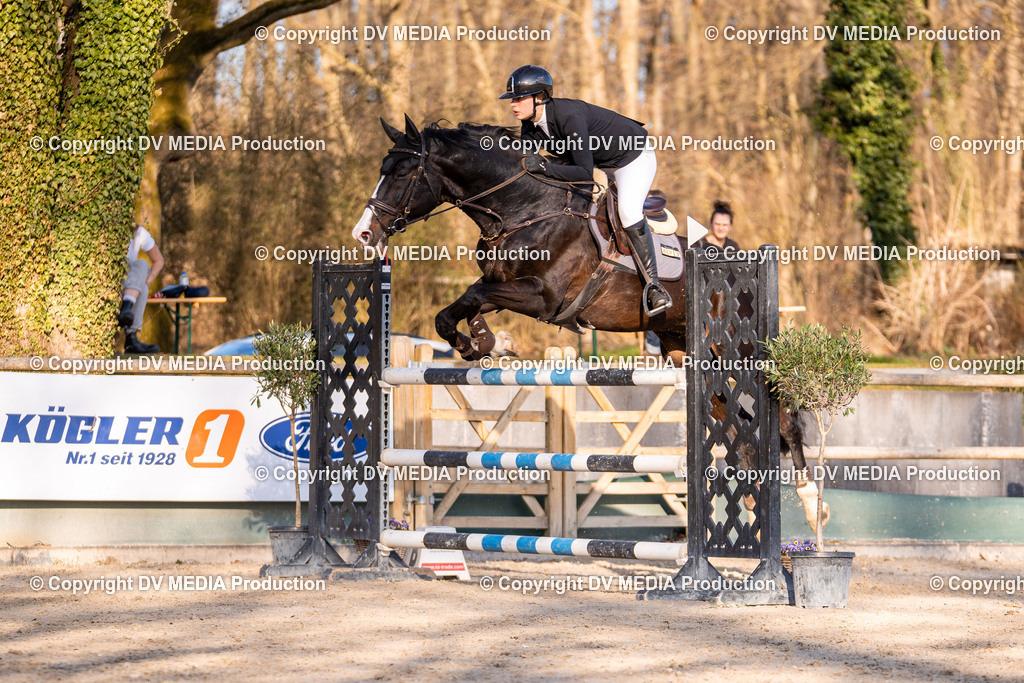 Kranichstein Tag 2-1118 | dv-media-shop - Realisiert mit Pictrs.com