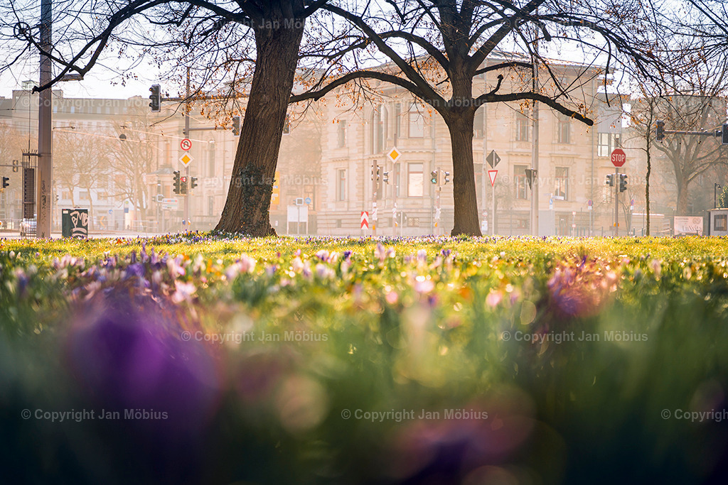 _DSC0228 | Leipzig Wandbilder Drucke Prints Leinwand Stadtmotive Leipzig Fotosdruck Kunstdrucke Bilder Leipzig Stadtansichten Acrylglasbilder Leipzig Wanddeko Fine Art Prints Wandbilder Büro Leipzig Bilder Praxis Zuhause Bilderdruck Poster Posterlounge Kunstdrucke - Realisiert mit Pictrs.com