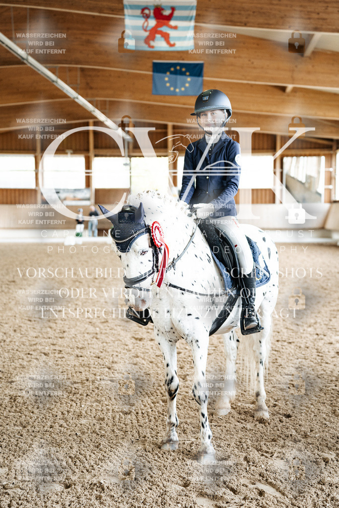 CK703341 | Turnierfotografie Pferdefotografie Trier Rheinland-Pfalz Pferdesport Reitsport Tierfotografie Sportfotografie Pferdevideo Pferdevideografie Equestrianvideography equestrianphotography  - Realisiert mit Pictrs.com