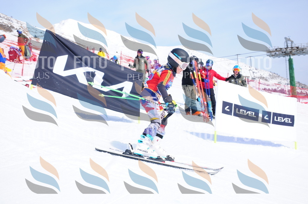 DSC_3066 | holidayphoto