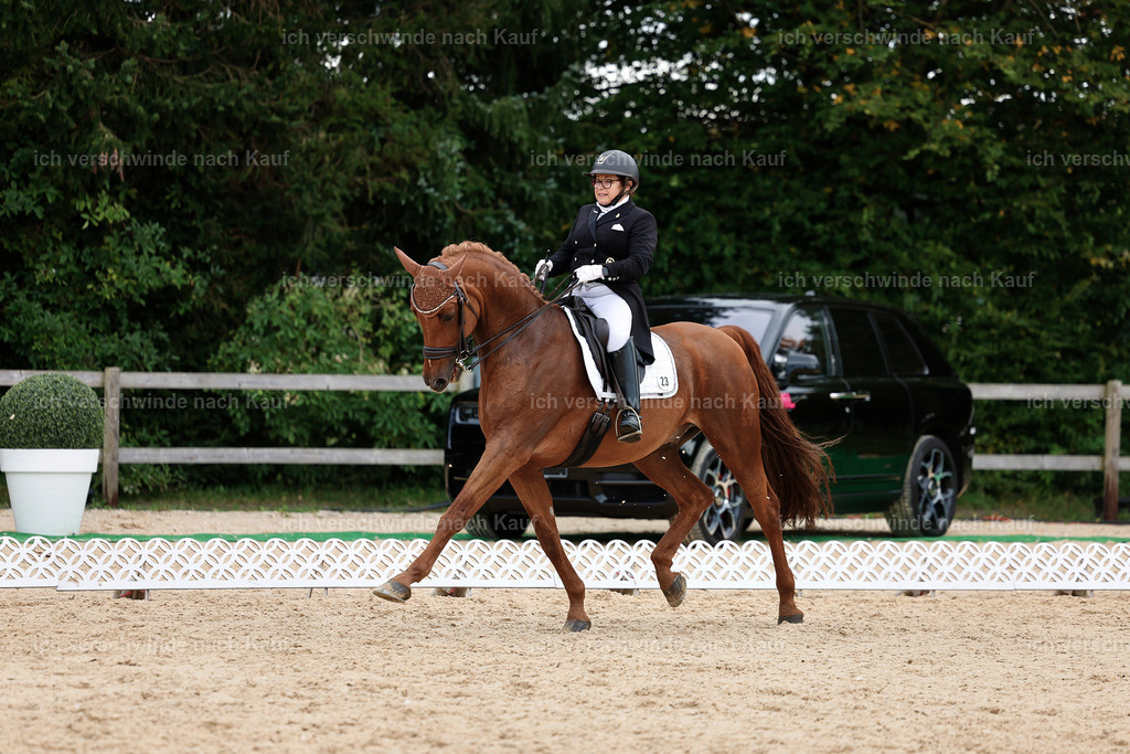 11-023-Dressur S___-StoibPH-1130 | working equitationturnier fotograf videograf stoibphotography marixx film working equitation deutschland reitsport turnierfotografie eventfotografie equestrian events