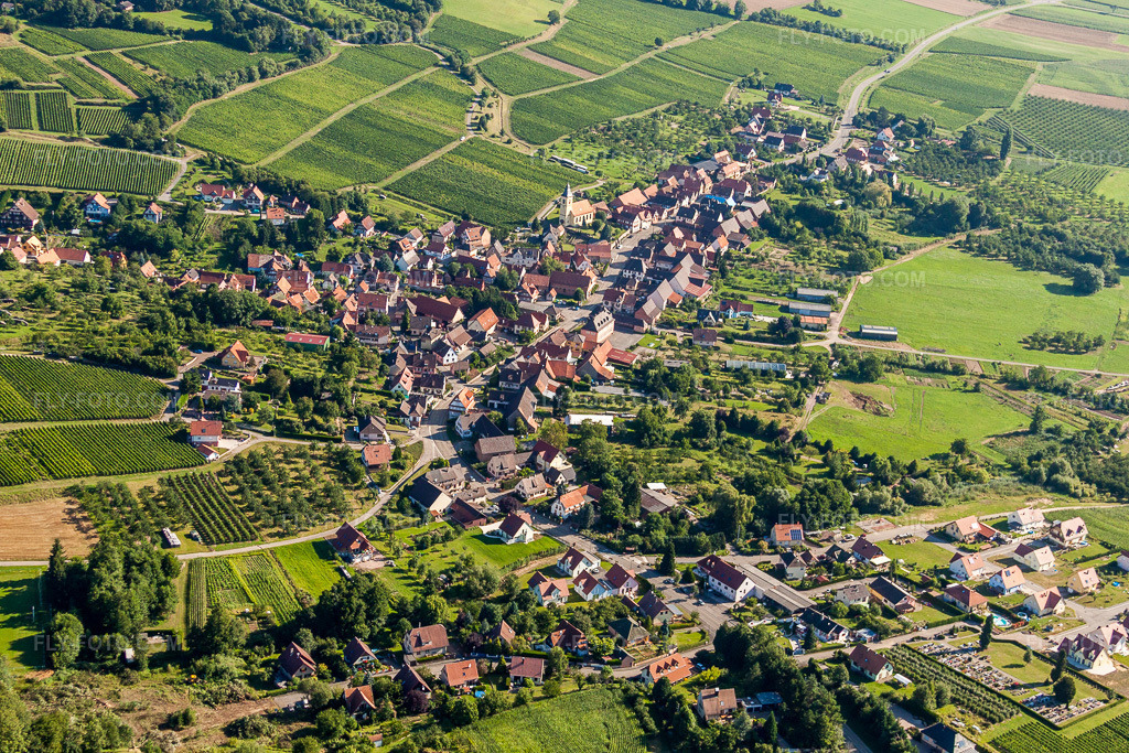 Aerial view: Agricultural fields and arable land in Rott in the state Bas-Rhin, France.Photo: IMG_31102.jpg taken on 08/07/2010 by Werner Riehm/FLY-FOTO.comResolution of the original: 4752 x 3168 px