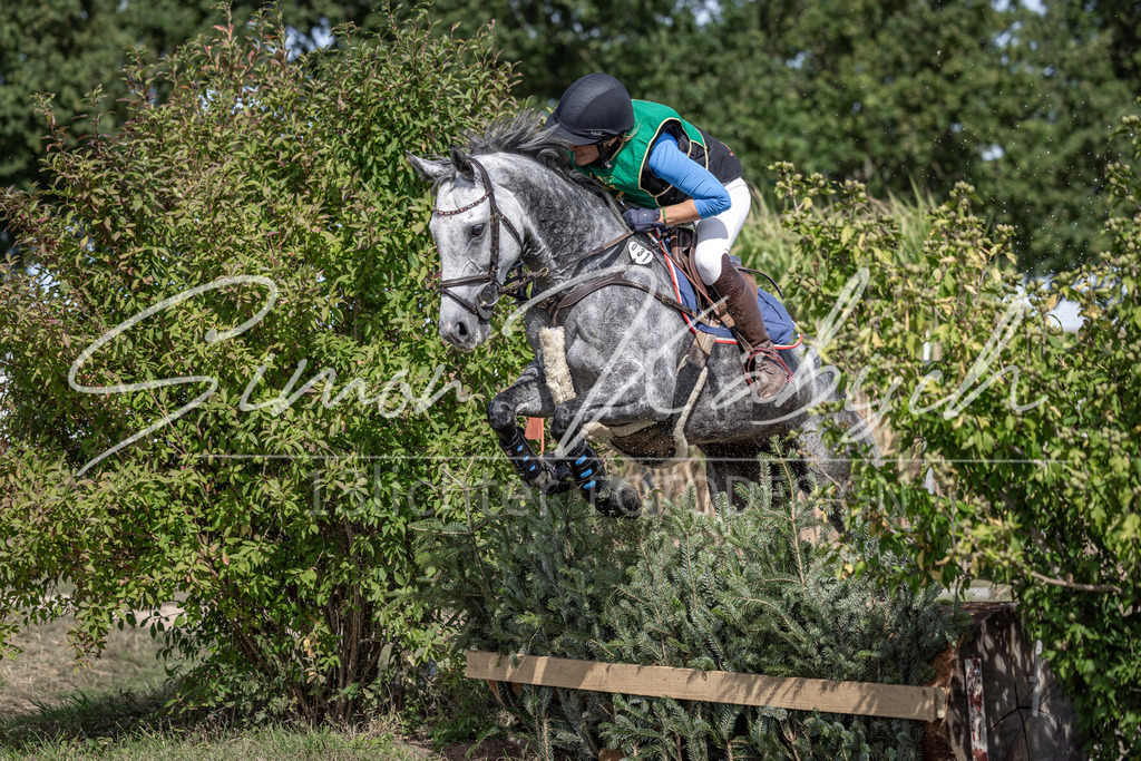 20250907-_3LI1021 | Tierfotografie Pferde, Hunde, Katzen, Haustiere.
Turnierfotografie Reitturniere, Reiten, Springreiten, Dressur in Hanau, dem Main-Kinzig-Kreis und dem Rhein-Main- Gebiet um Frankfurt