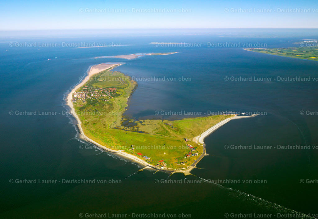 3091396 | Wangerooge Nationalpark Niedersächsisches Wattenmeer