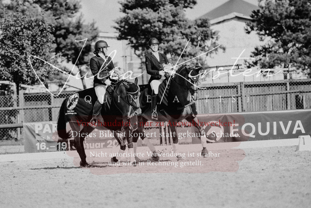 DSC_9817 | Pferde- und Turnierfotografie in Westsachsen. Pferdeportraits, Auftragszeichnungen und intuitive Kunst.