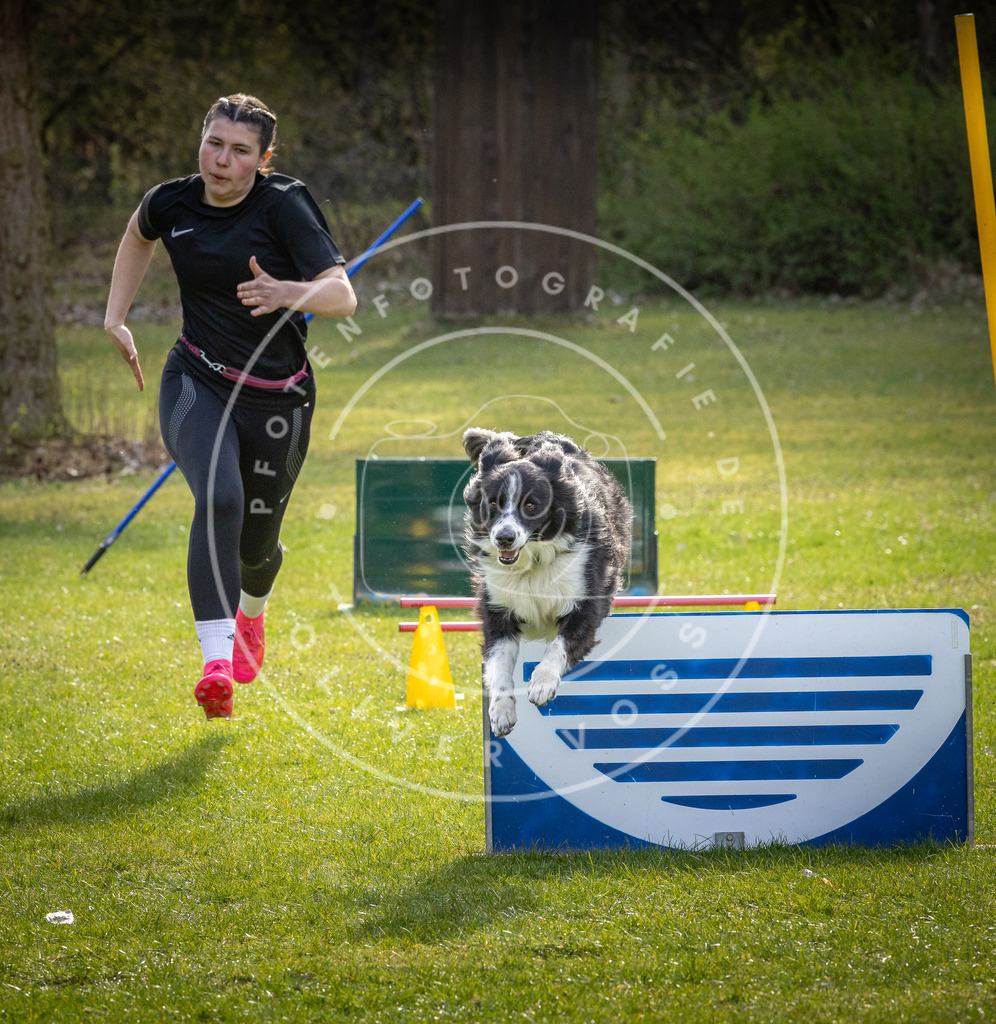 Pfotenfotografie_DV3A3677 | Hundefotografie, Tierfotograf, Pfotenfotografie, Fotoshooting Hund, Hunde Portrait, Hundesport, Hundeportraits, Heideshooting, Hunde, Sportfotograf, Hundefotograf, Turnierhundsport, THS,  - Realisiert mit Pictrs.com