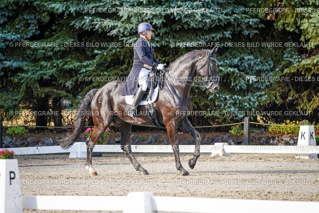 DSC00493 | Pferdegrafie