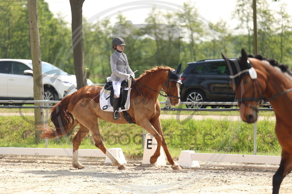 994A7131 | sabrinanicolaifotografie - Realisiert mit Pictrs.com