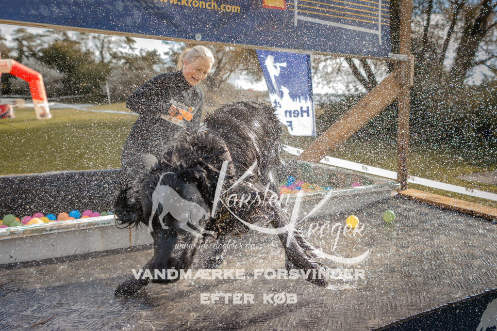 1411_ZZ93761-2 | kk-dogfotos