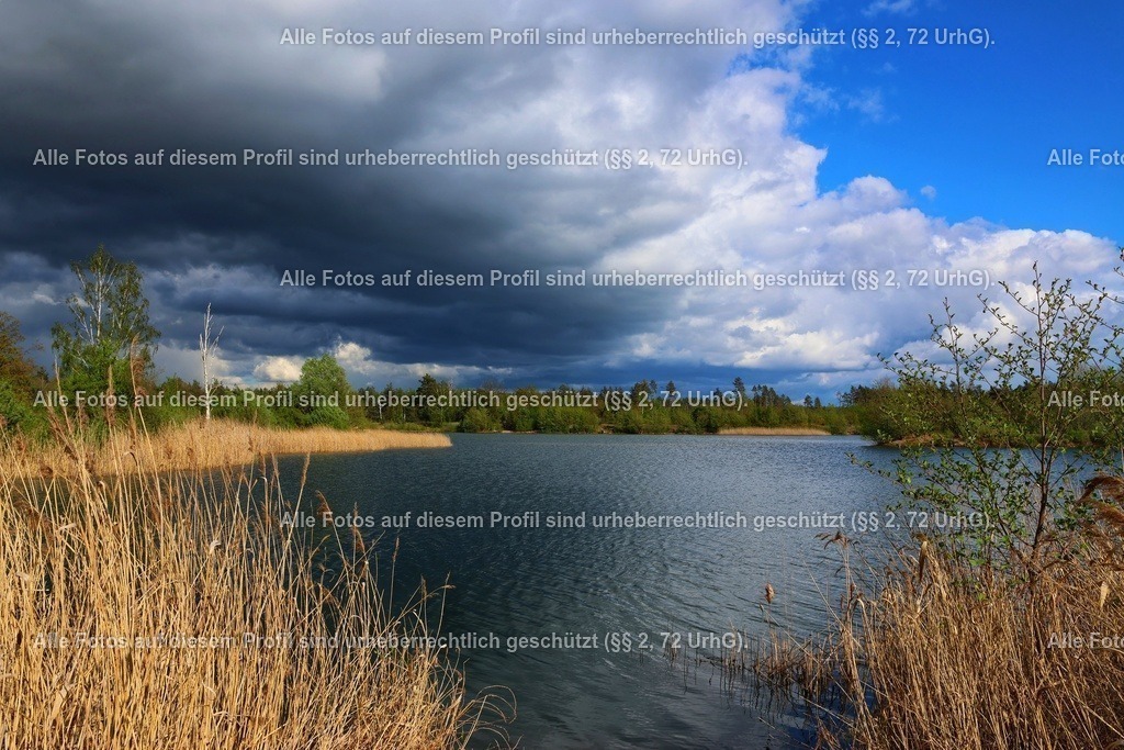 20240416153142_0C4A6762-01 | krollfotografie - Realisiert mit Pictrs.com