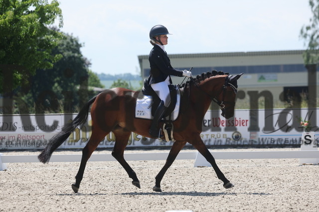 Rot am See_2024_Prfg.Nr.21_Qual.BCH_und_LCH_5-jähr.Ponys_Stella Zimmermann_Duchess Darcy (2) | Alle Fotos der Reiterjournal Fotografin Doris Matthaes im Reiterjournal Online-Fotoshop. - Realisiert mit Pictrs.com
