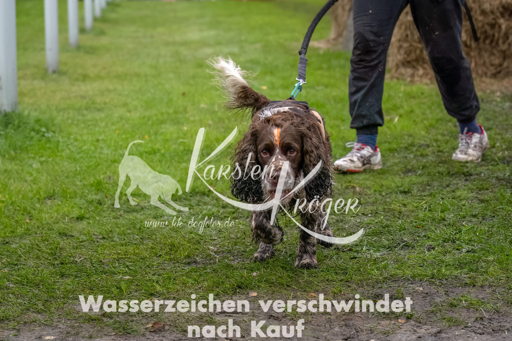 1216--7 | kk-dogfotos