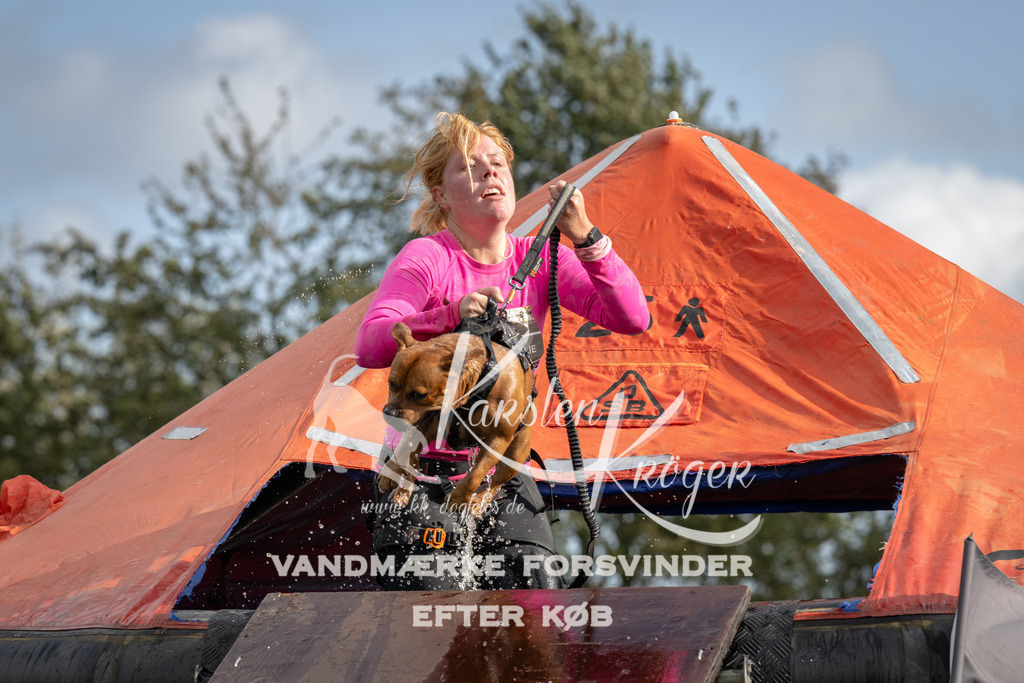 1421-94000 | kk-dogfotos