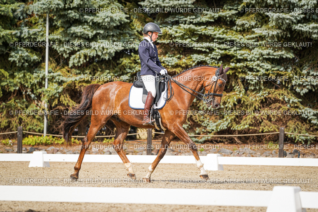 DSC06931 | Pferdegrafie