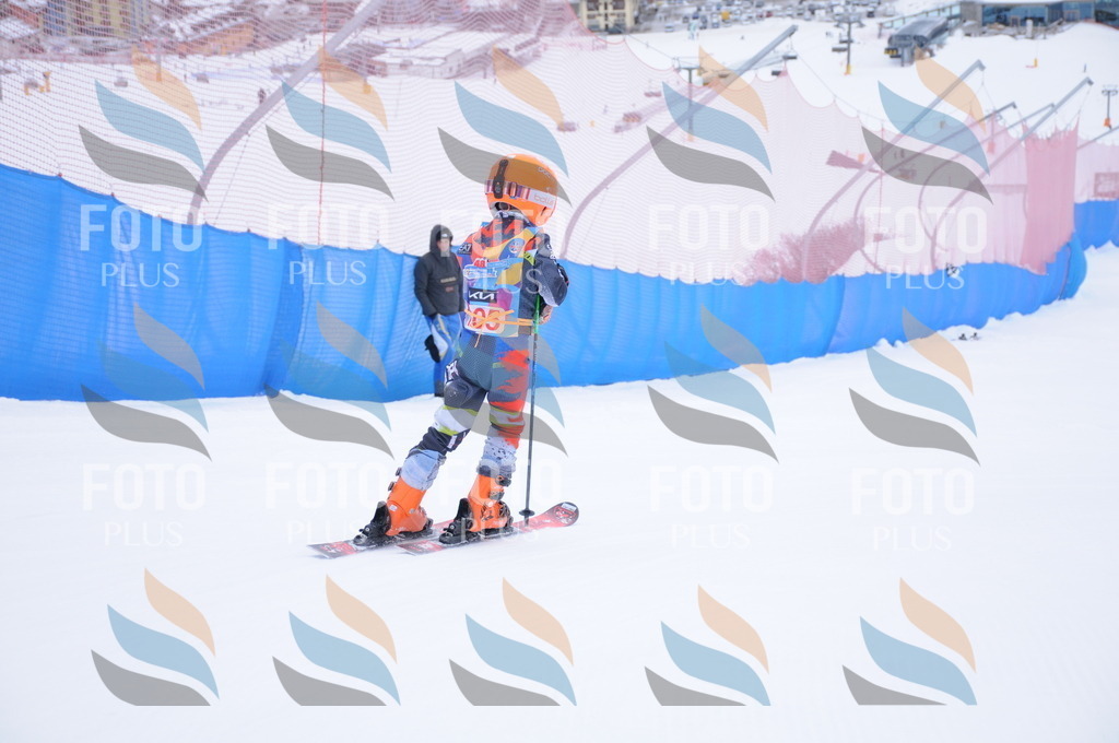 DSC_8386 | holidayphoto