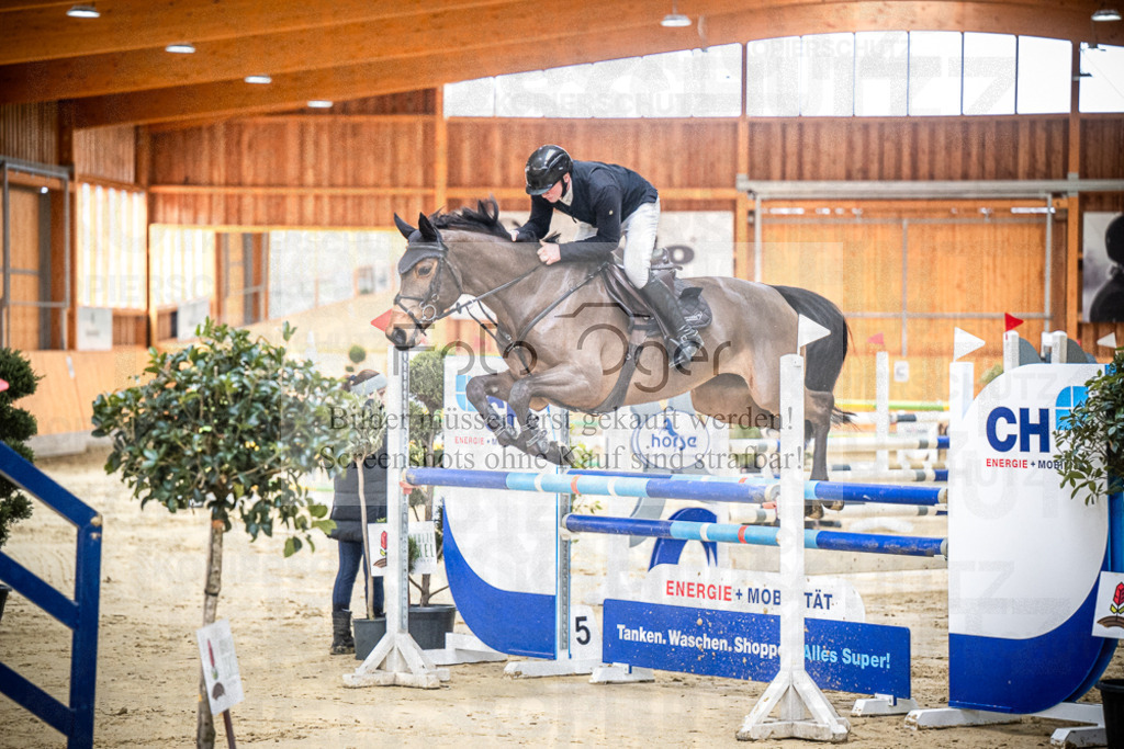 DOS_0253 | Entdecke hochwertige Reitturnierfotos von Foto Oger. Professionell, emotional und authentisch – jetzt Lieblingsmomente im Shop bestellen.Deutschlandweite Turnierfotografie. - Realisiert mit Pictrs.com