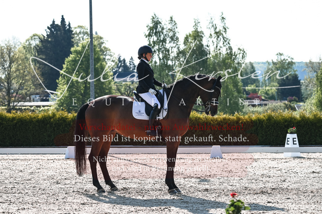 20230514_JK-Röhrsdorf-18-098 | Pferde- und Turnierfotografie in Westsachsen. Pferdeportraits, Auftragszeichnungen und intuitive Kunst.