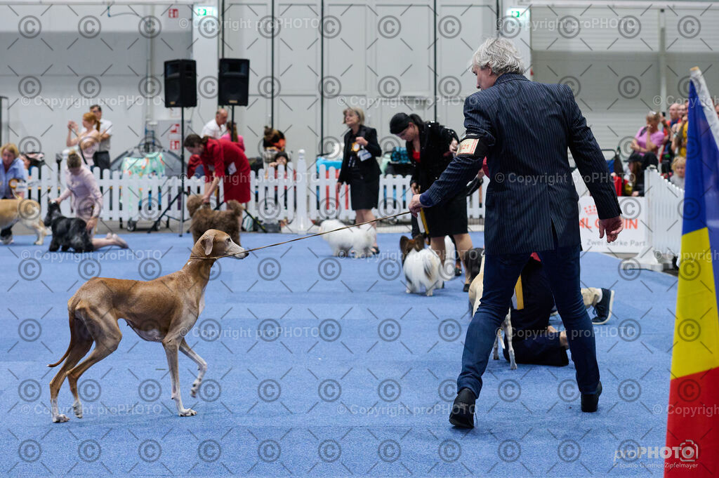 202406_ÖKV-IHA-Tulln24_DSC_4850 | proPHOTO - Realisiert mit Pictrs.com