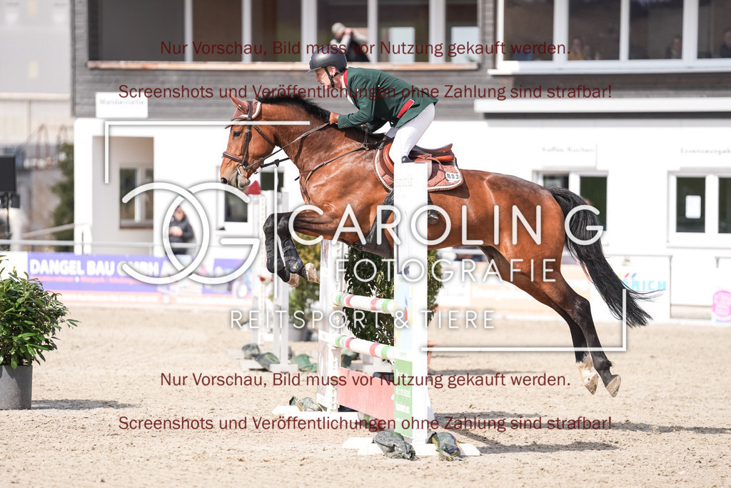 DSC05627 | Late_entry_Springturnier_Bad_Wurzach, Axel_Kaupp, Dame_de_reve