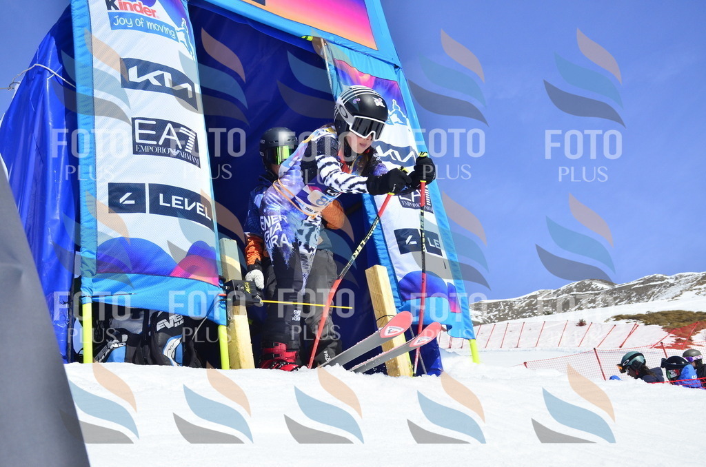 _ELE0465 | holidayphoto