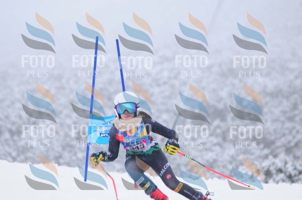 C3675 | holidayphoto