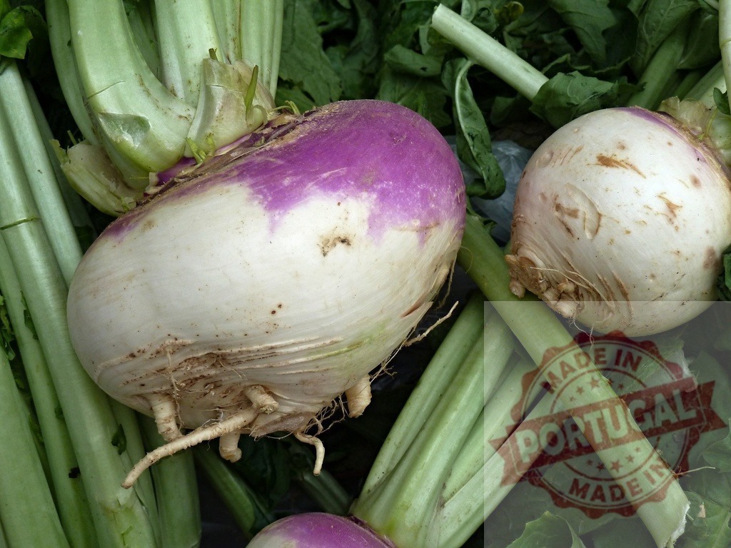Fresh purple top turnips with green leaves | Freshly harvested turnips displaying purple and white skin with green stems and leaves - Realisiert mit Pictrs.com