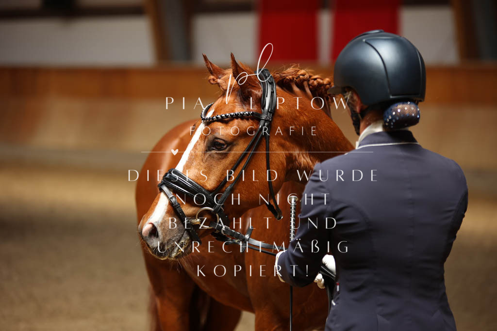 IMGS0281 | pl-fotografie