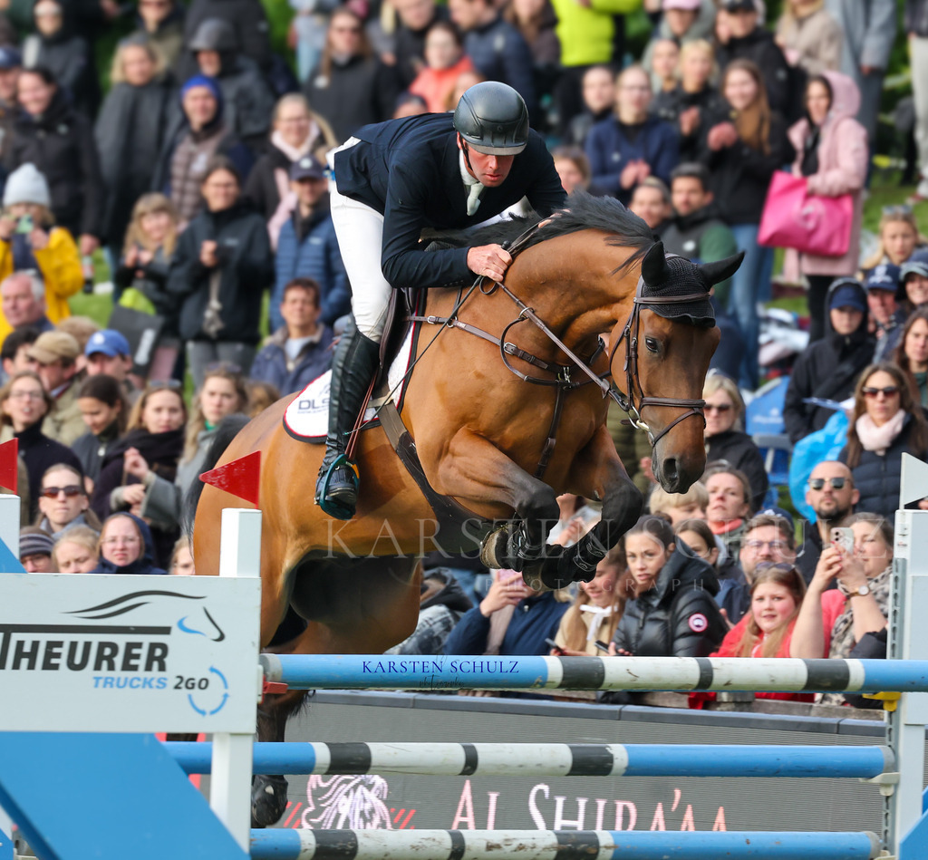 1B3A5003 | Reitsport Reiten