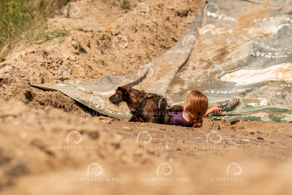 madeleinebirr.fotografie.2026.CC-hoope.samstag.14-41-35.148 | hundefotografie-birr