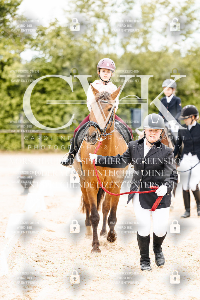 CK903644 | Turnierfotografie Pferdefotografie Trier Rheinland-Pfalz Pferdesport Reitsport Tierfotografie Sportfotografie Pferdevideo Pferdevideografie Equestrianvideography equestrianphotography  - Realisiert mit Pictrs.com