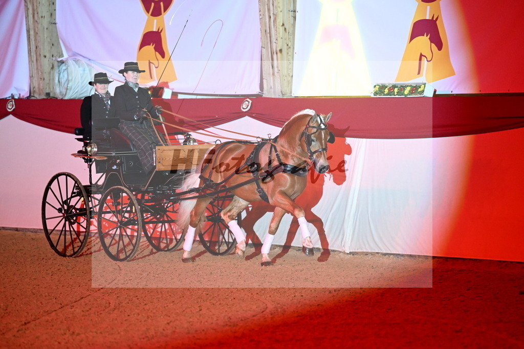 DSP_Avici_As_Karosser_2254545 | hf-fotografie - Realisiert mit Pictrs.com
