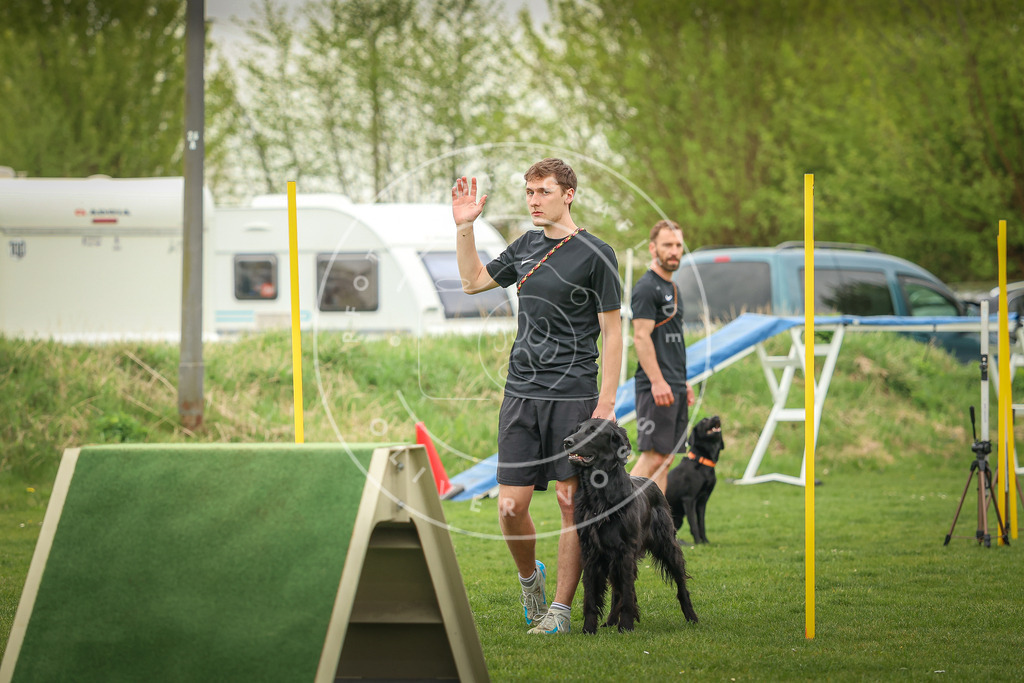 Pfotenfotografie_0L8A0315 | Hundefotografie, Tierfotograf, Pfotenfotografie, Fotoshooting Hund, Hunde Portrait, Hundesport, Hundeportraits, Heideshooting, Hunde, Sportfotograf, Hundefotograf, Turnierhundsport, THS,  - Realisiert mit Pictrs.com