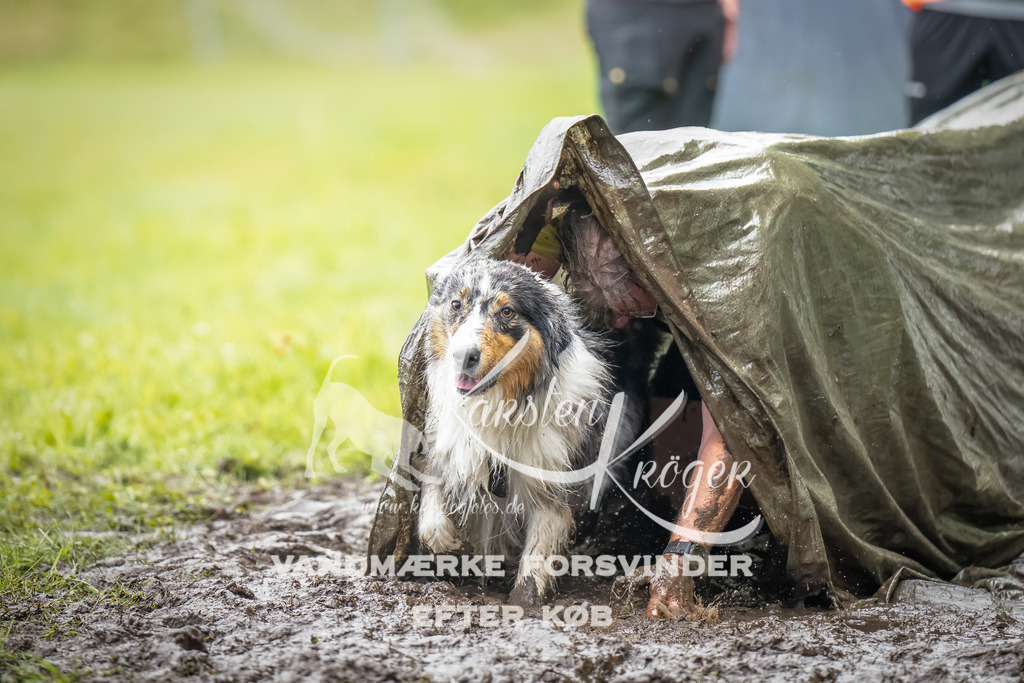 0952_ZZ91763-Bearbeitet | kk-dogfotos